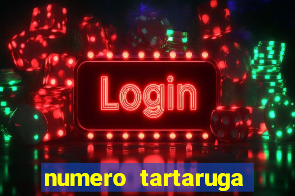 numero tartaruga jogo do bicho